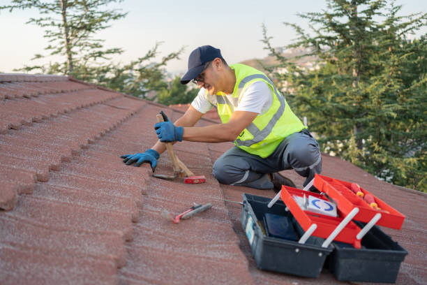 Roof Waterproofing Services in Holly Hills, CO