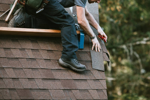Best Metal Roofing Contractor  in Holly Hills, CO